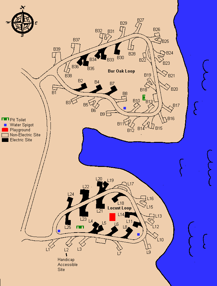 scburoak.gif (20421 bytes)