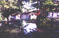 bb&tflower.gif (22354 bytes)